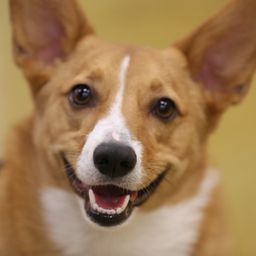 photograph by PeterW